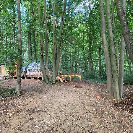 Le Dome De Namur - Une Nuit Insolite Dans Les Bois Экстерьер фото