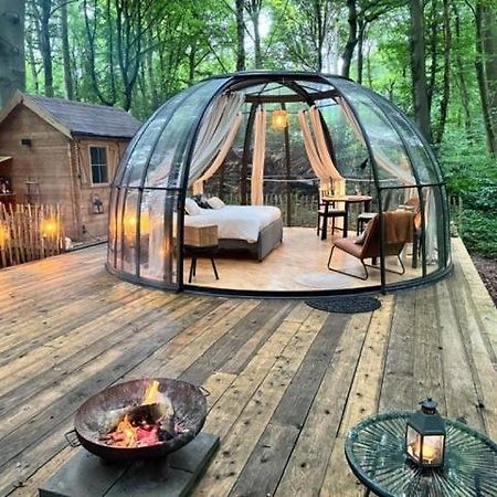 Le Dome De Namur - Une Nuit Insolite Dans Les Bois Экстерьер фото