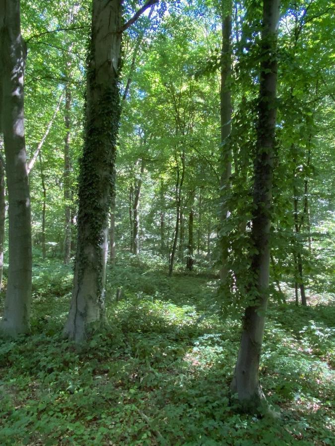 Le Dome De Namur - Une Nuit Insolite Dans Les Bois Экстерьер фото