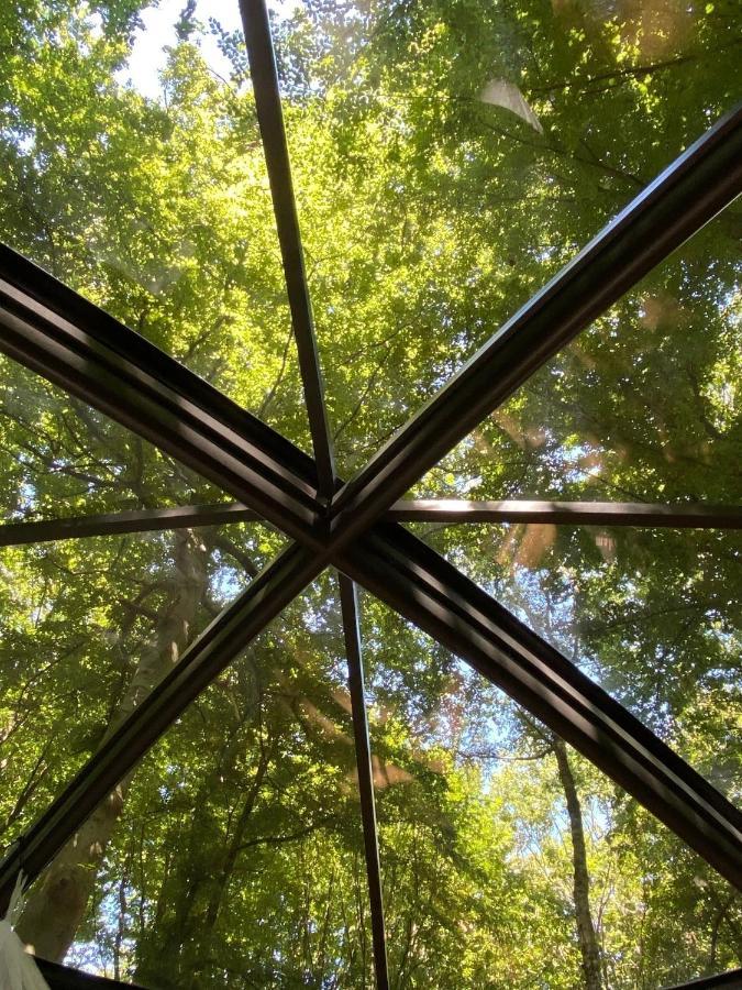 Le Dome De Namur - Une Nuit Insolite Dans Les Bois Экстерьер фото
