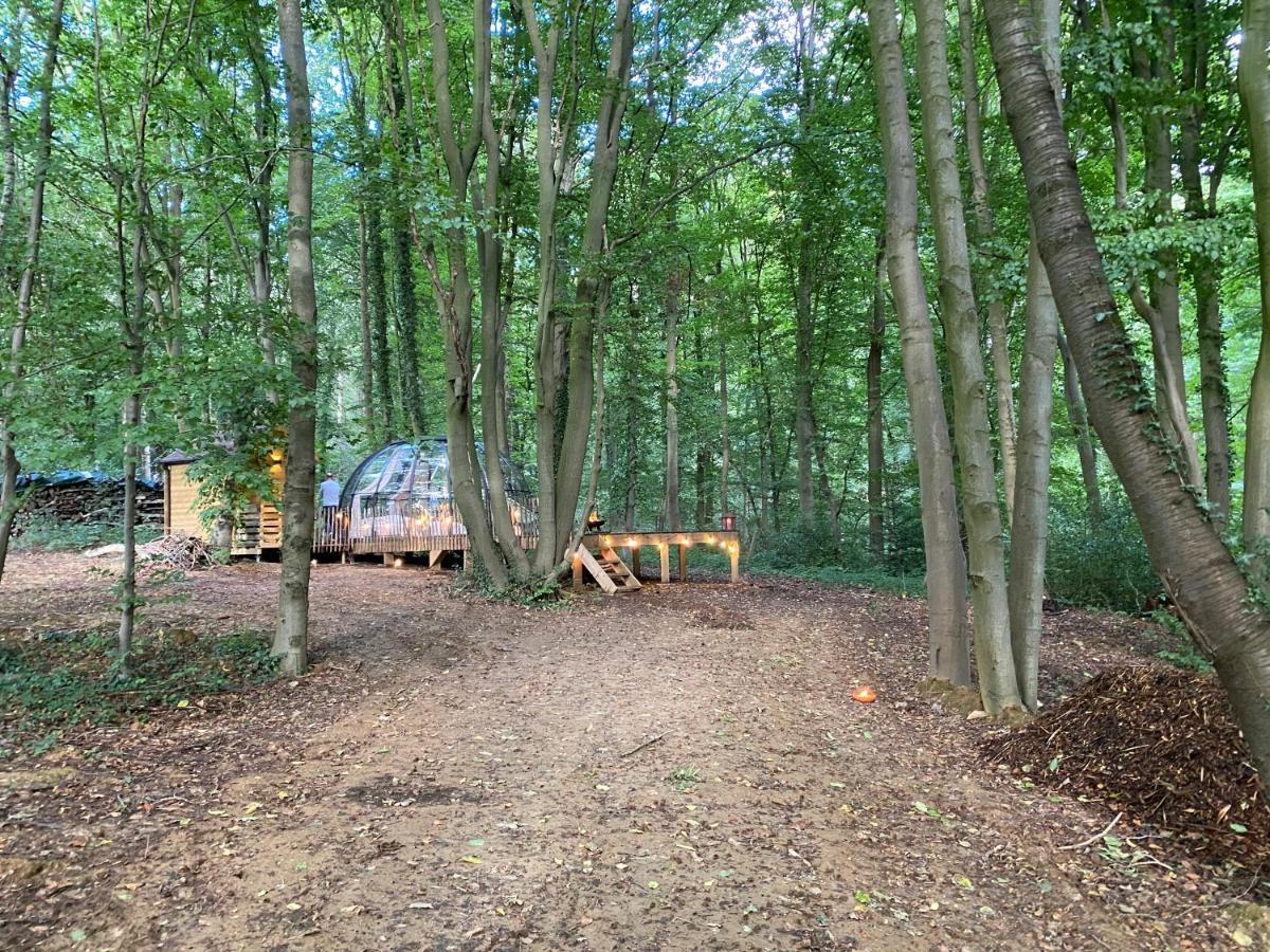 Le Dome De Namur - Une Nuit Insolite Dans Les Bois Экстерьер фото