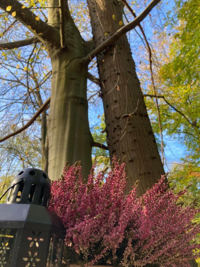Le Dome De Namur - Une Nuit Insolite Dans Les Bois Экстерьер фото