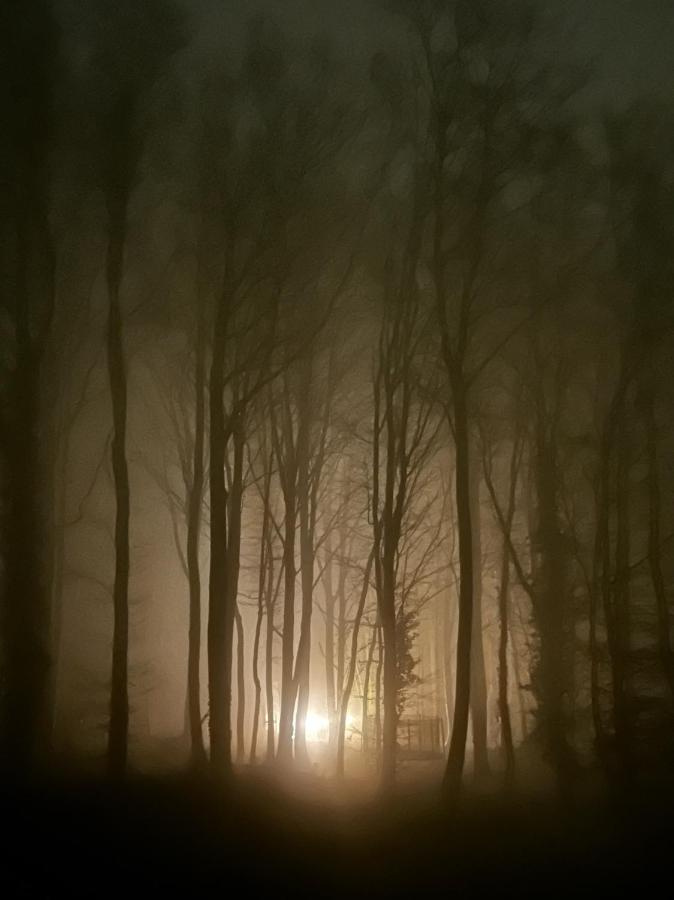 Le Dome De Namur - Une Nuit Insolite Dans Les Bois Экстерьер фото