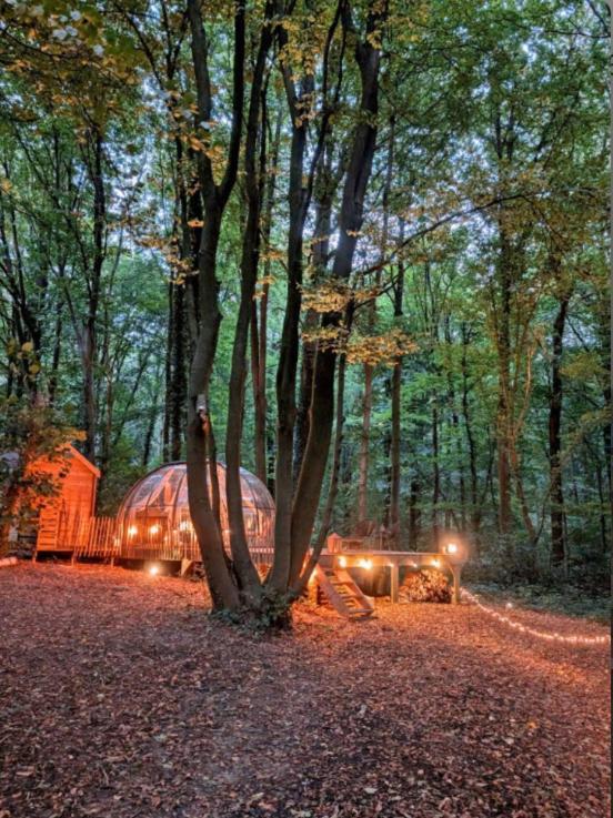 Le Dome De Namur - Une Nuit Insolite Dans Les Bois Экстерьер фото