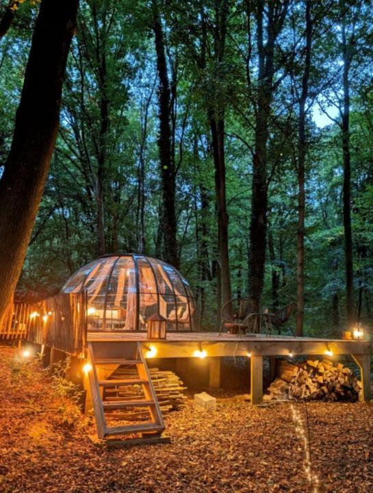 Le Dome De Namur - Une Nuit Insolite Dans Les Bois Экстерьер фото